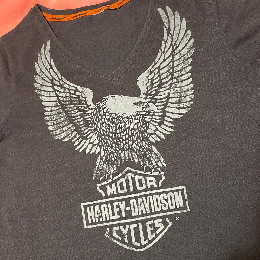 Harley-Davidson T-Shirt (Grey) 
Large Eagle and Harley Davidson Logo